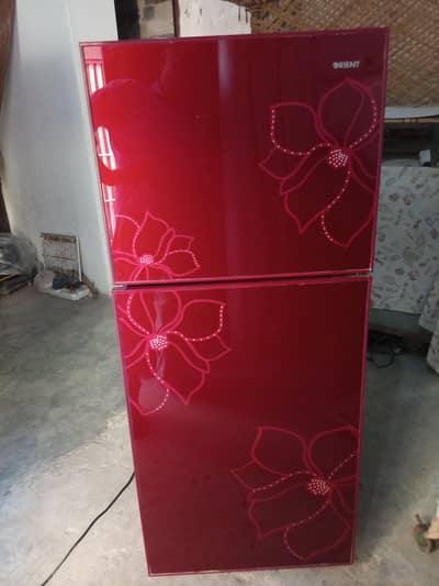 Orient Ruby Series 260 Ltr Double Door Refrigerator