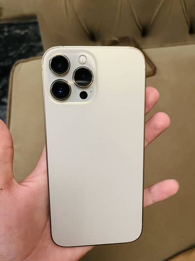 Apple iPhone 13 Pro Max