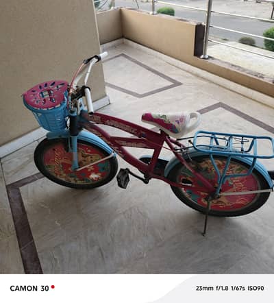 Girl baby bikecycle