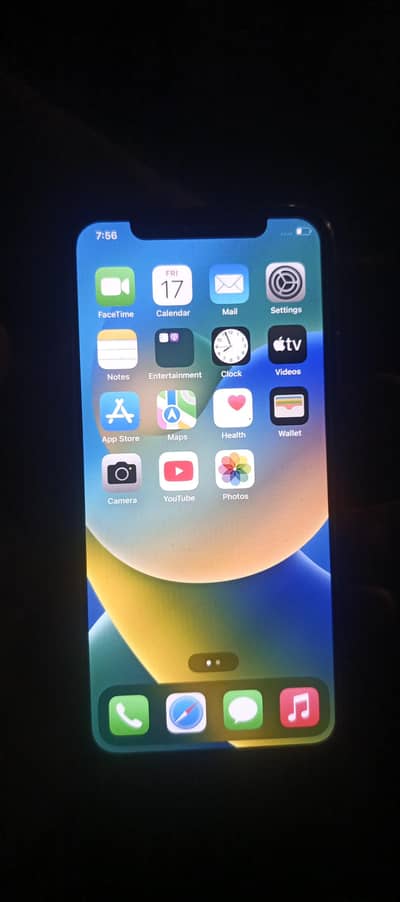 Apple iPhone X
