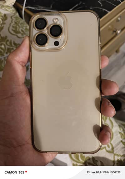 Apple iPhone 13 Pro Max