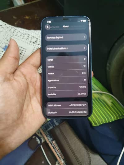 iPhone 12