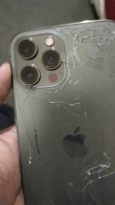 Apple iPhone 12 Pro Max