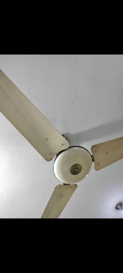 pure copper gfc fan neet and clean 5 fan
