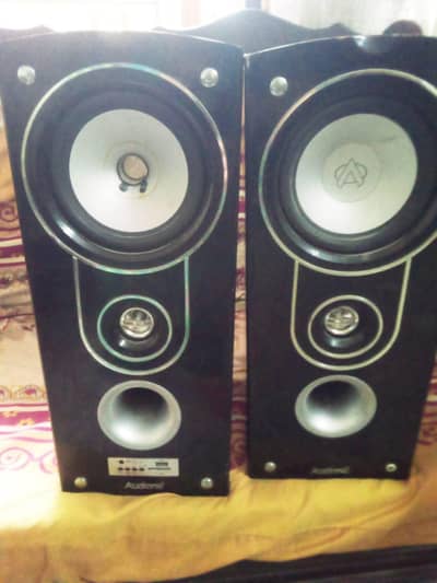NEW AUDIONIC SPEAKER