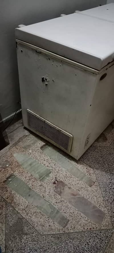 Waves double door deep freezer