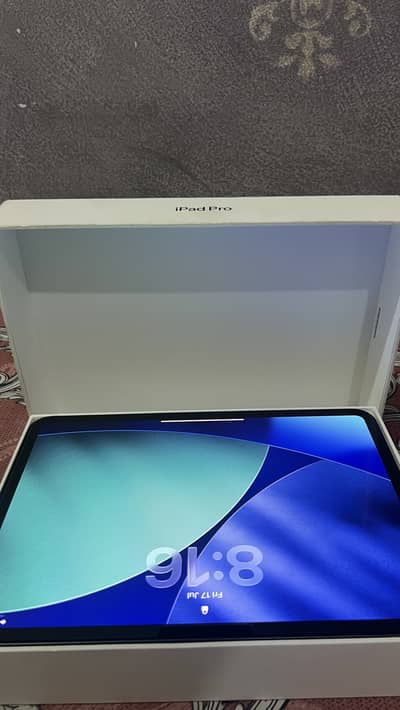 Ipad pro M4 11 inch 256GB 91 battery health