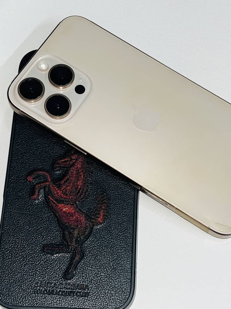IPHONE 16 Pro Max 2