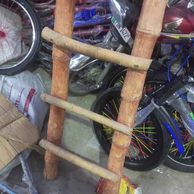 Ladders siri | Strong ladder | only 6 months use.