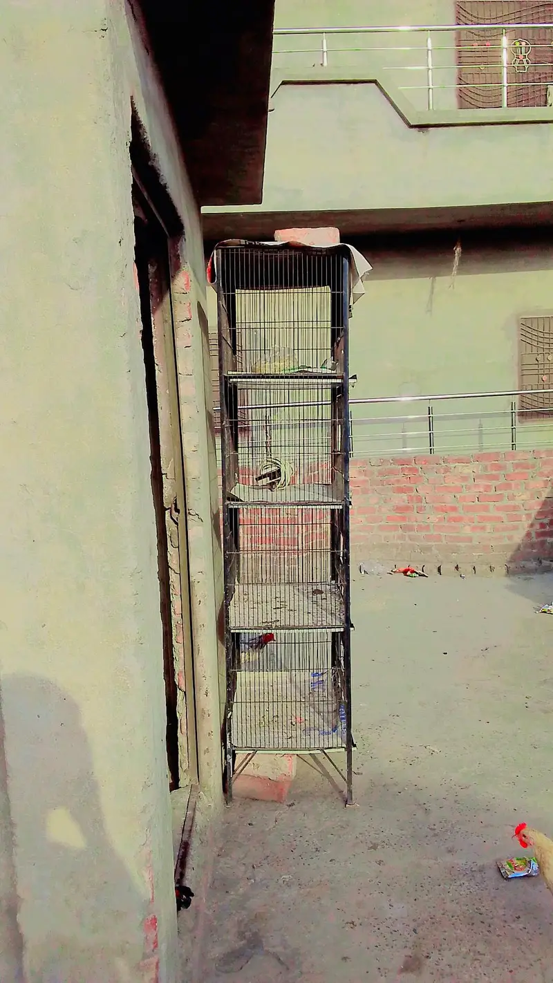 Hussain raza — photo 2