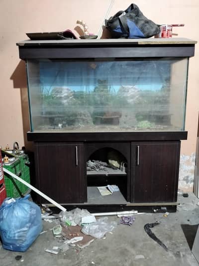 Acquarium