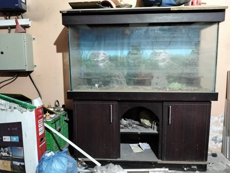 Acquarium 1