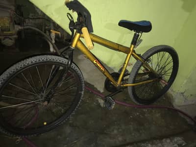 Cycle All Ok