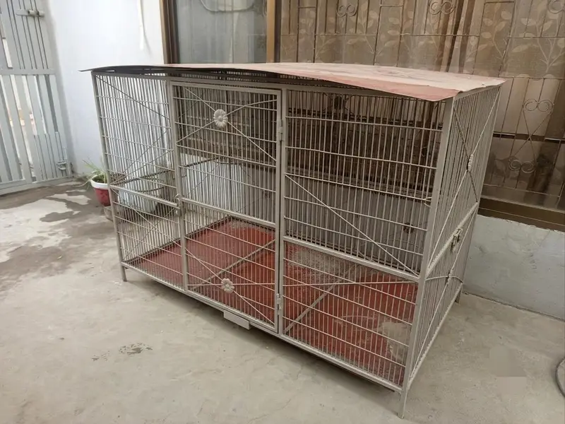Heavy Iron Cage For Dogs and birds — photo 2