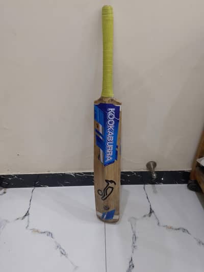 Best quality of English willow bat