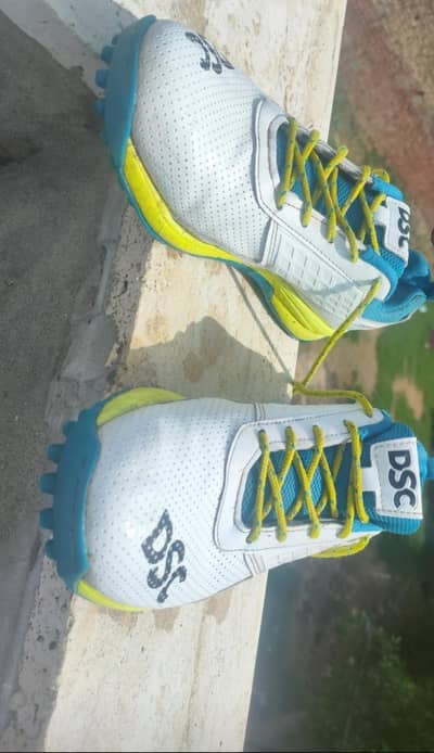 dsc shoes