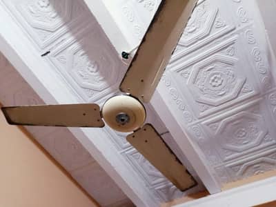 urgent sale in fan