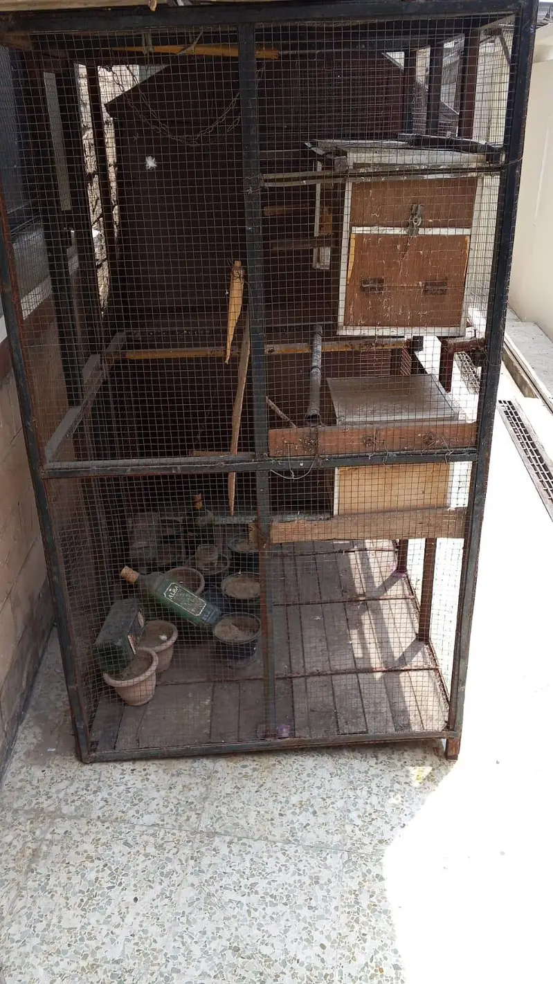 Cage size 4 /3.5 for sale new condition Colony cage big size — photo 2