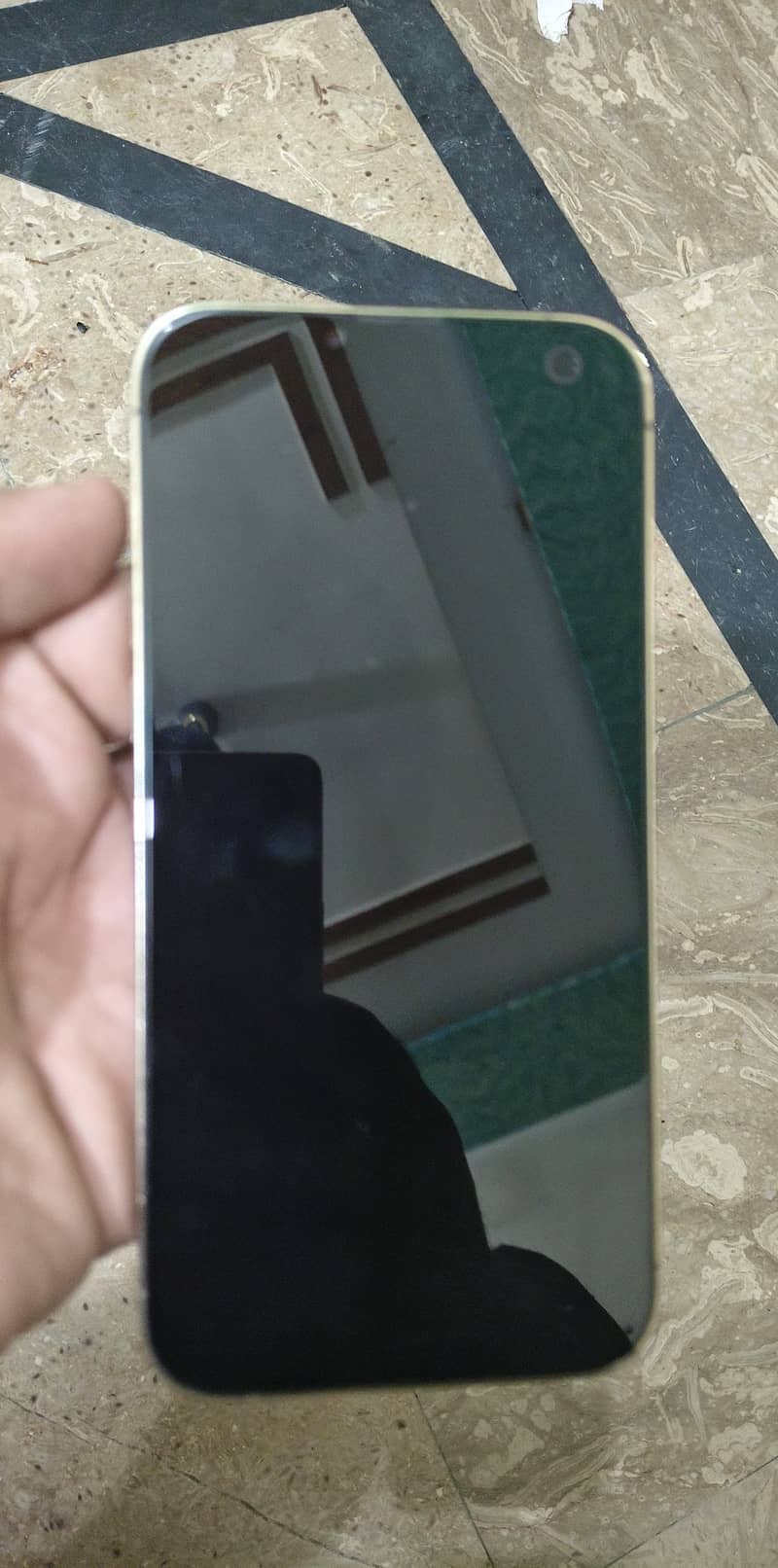 Iphone 13 pro max 1