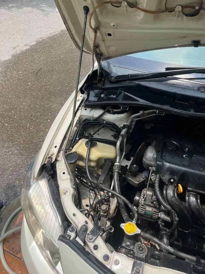 Corolla xli 14