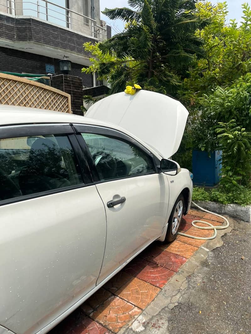 Corolla xli 15