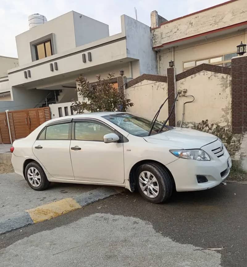 Corolla xli 19