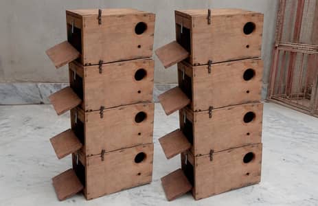 Solid wooden kikar breeding box for Lovebird, parrots with sticks