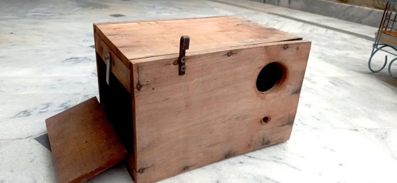 Solid wooden kikar breeding box for Lovebird, parrots with sticks — photo 2