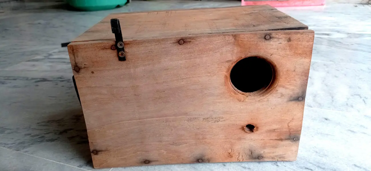 Solid wooden kikar breeding box for Lovebird, parrots with sticks — photo 4