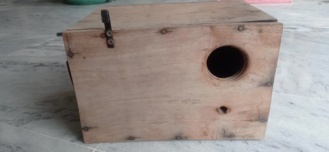 Solid wooden kikar breeding box for Lovebird, parrots with sticks — photo 6