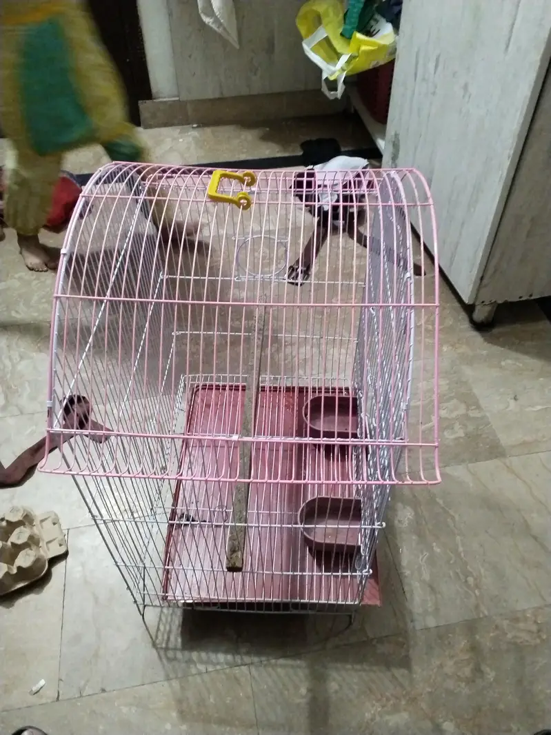 cage for parrots or hen just like new — photo 2