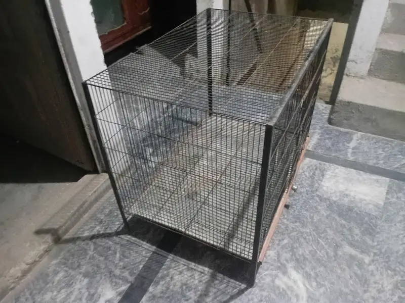 Iron Cage for Sell in good condition — photo 2