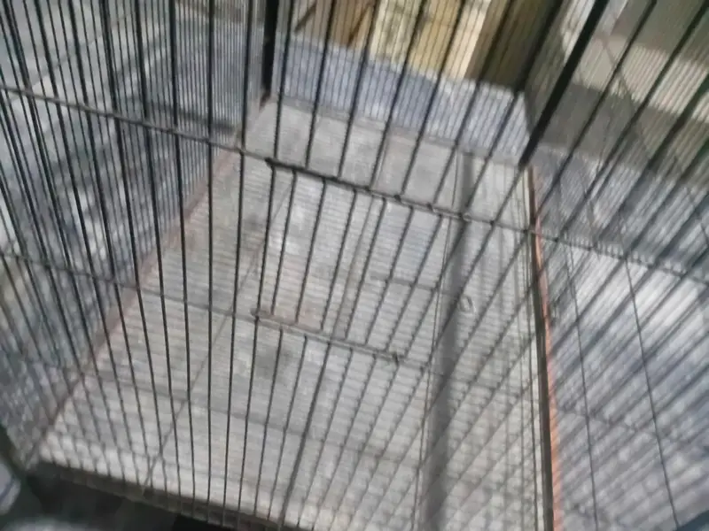 Iron Cage for Sell in good condition — photo 3