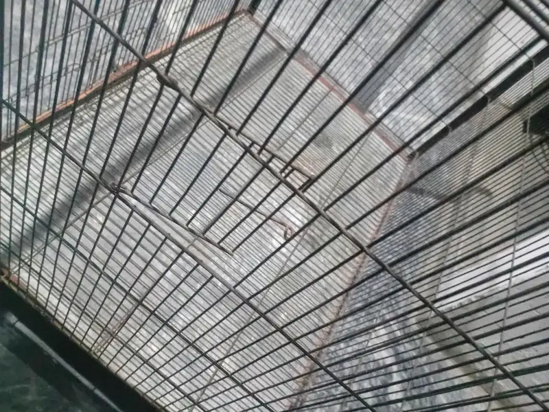 Iron Cage for Sell in good condition — photo 4