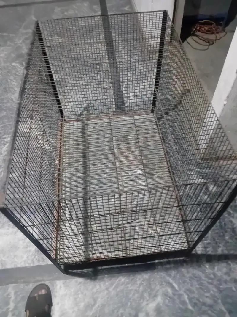 Iron Cage for Sell in good condition — photo 5