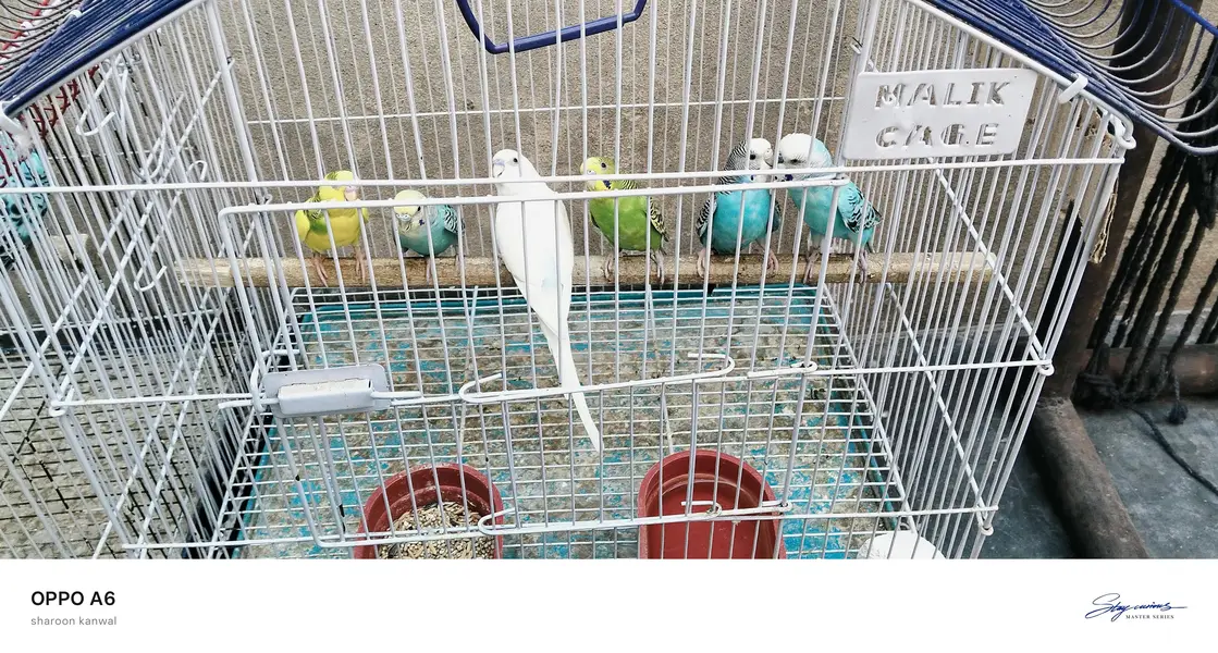 urgent sale — photo 2