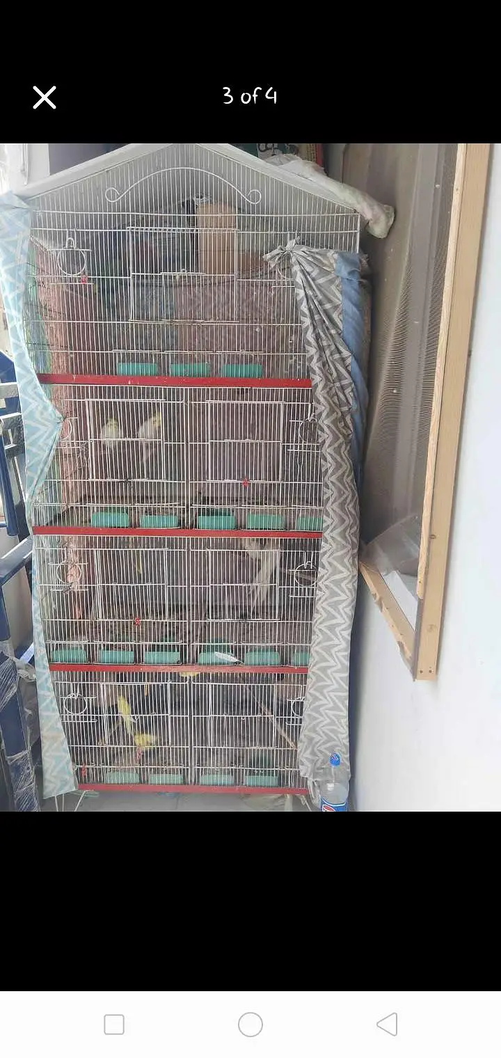 Cage For Sales — photo 2