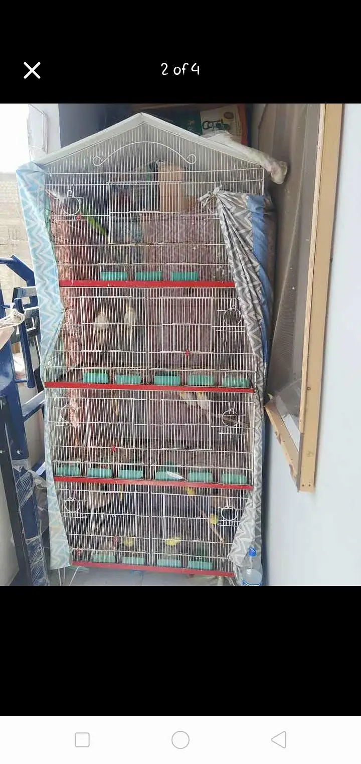 Cage For Sales — photo 3