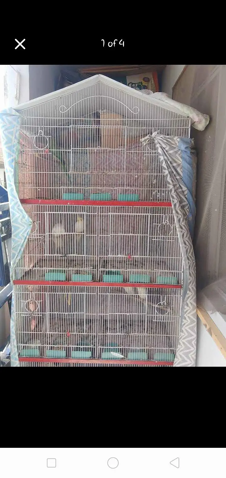 Cage For Sales — photo 4