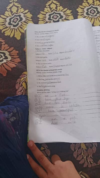 assignment writing