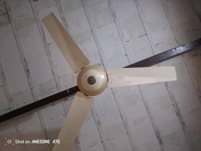 GFC fan with 100 % copper