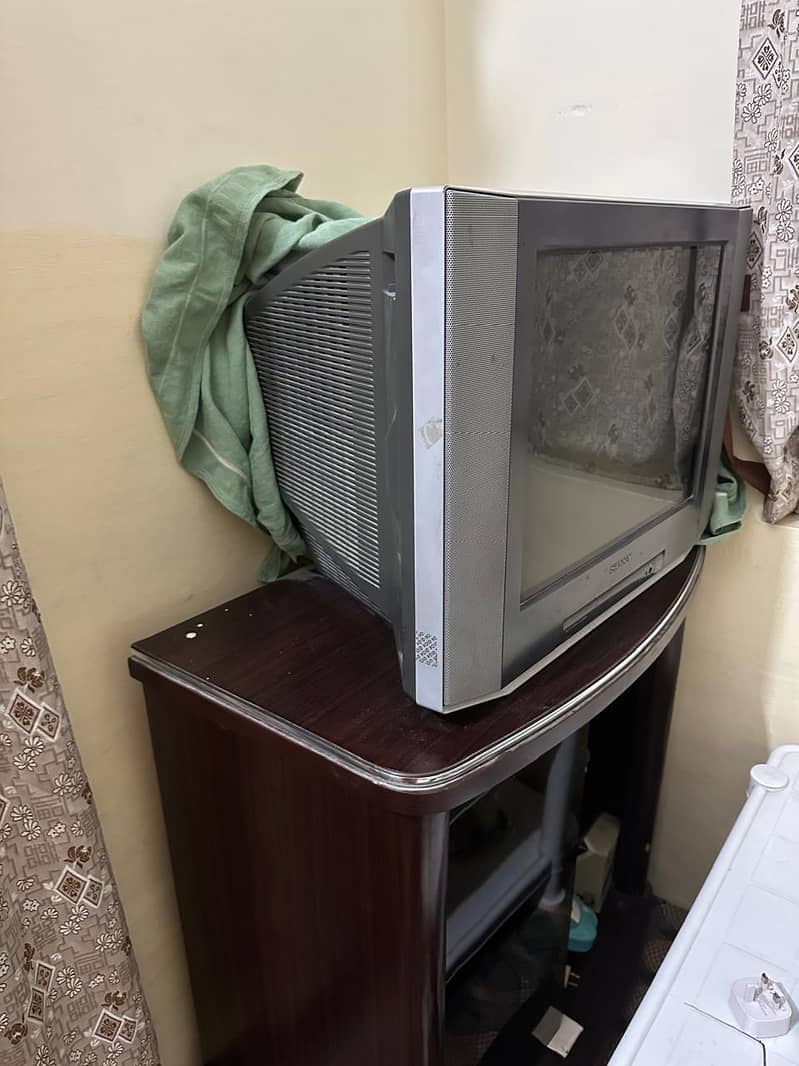 television 1