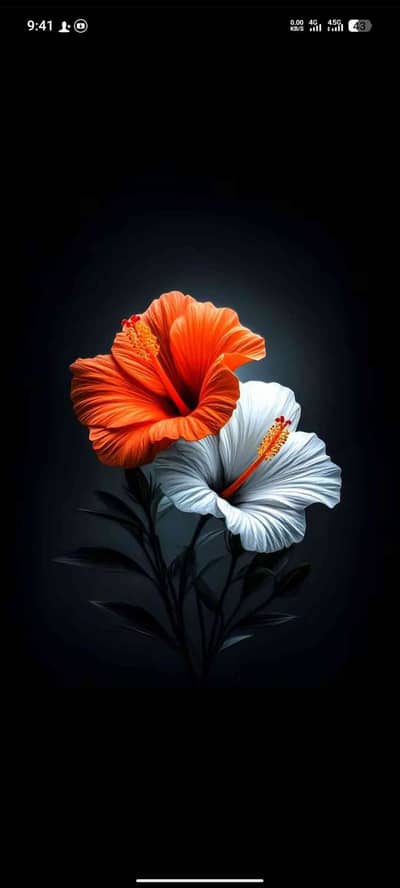 Zain Ali