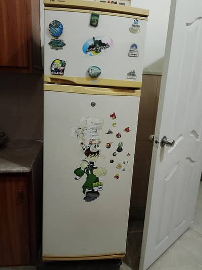 sharp Refrigerator neat and clean