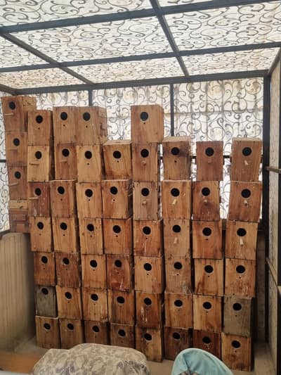 Kikar Wood Breeding Boxes