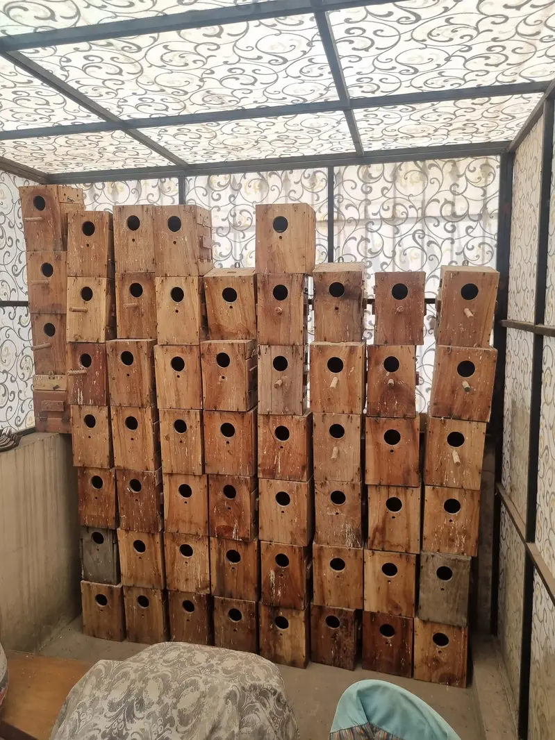 Kikar Wood Breeding Boxes — photo 2