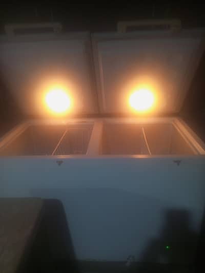 Haier d freezer