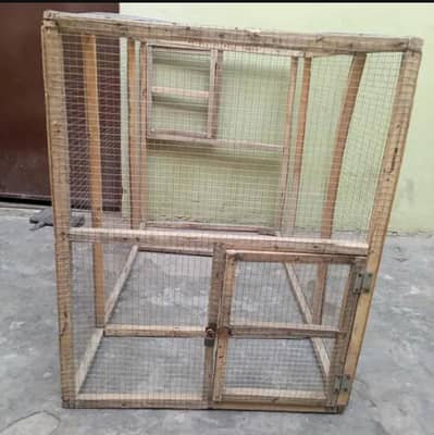 Aseel, Hen, Parrot All Type Of Birds Cage
