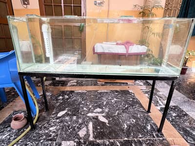 Fish Aquarium