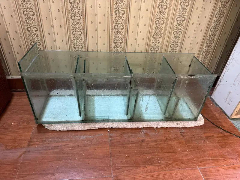 Fish Aquarium — photo 2
